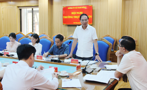 Đồng chí Đỗ Hùng Sơn - Phó Bí thư Đảng ủy, Chủ tịch UBND xã phát biểu tại hội nghị