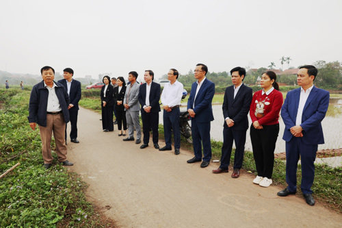 Lãng đạo xã Tam Nông thăm và động viên công tác sản xuất nông nghiệp tại xứ đồng (Thượng Nông cũ) xã Tam Nông