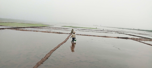 Trung tâm Dịch vụ sự nghiệp công tăng cường công tác cung cấp nước phục vụ Nhân dân sản xuất Nông nghiệp vụ Xuân 2026