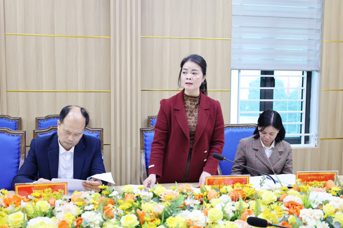 Đồng chí Lê Thị Thanh Tâm - ĐUV, Trưởng phòng VH-XH phát biểu tại hội nghị