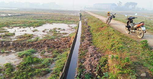 Đội Thủy lợi sẵn sàng các phương án để cung cấp nước cho sản xuất nông nghiệp