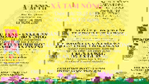 Thông tin về Xã Tam Nông sau sáp nhập (Từ ngày 1/7/2025)