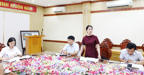Lãnh đạo Phòng VH-XH phát biểu tại hội nghị