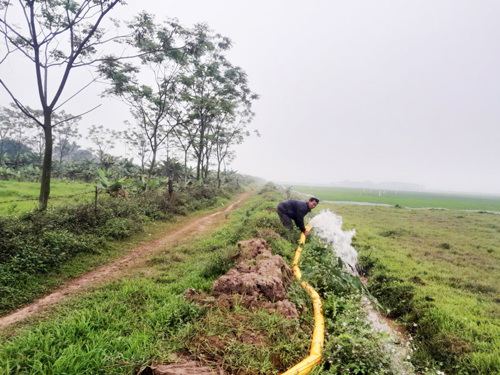 Bơm nước dưỡng lúa