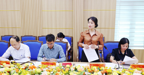 Lãnh đạo Phòng VH-XH phát biểu tại hội nghị