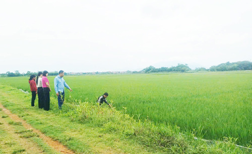 Trung tâm Dịch vụ sự nghiệp công và Phòng Kinh tế thăm đồng