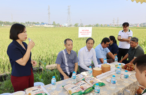 Đồng chí Đào Biên Thùy - ĐUV, Phó Chủ tịch UBMTTQ, Chủ tịch Hội Nông dân xã Tam Nông phát biểu tại hội thảo