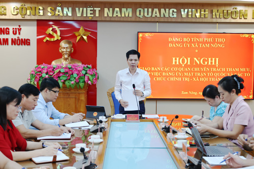 Đồng chí Nguyễn Tuấn Ngọc - Phó Bí thư Thường trực Đảng ủy xã phát biểu kết luận hội nghị