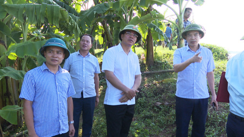 Lãnh đạo Sở Nông nghiệp và Môi trường có mặt tại hiện trường