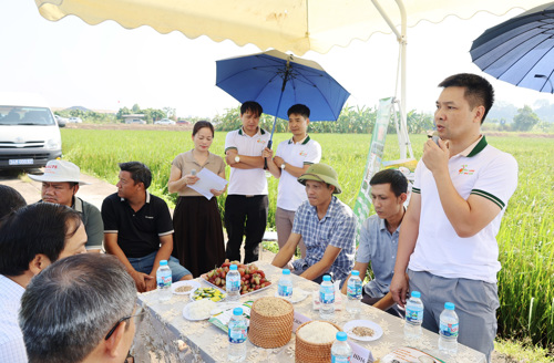 Ông Mạc Đức Phượng - Giám đốc Công ty TNHH Mầm Vàng phát biểu