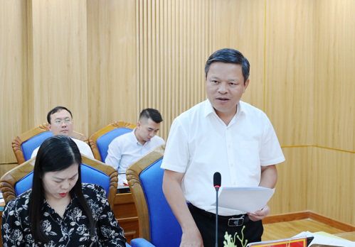 Đồng chí Phan Trọng Tấn - UVBTV, Phó Chủ tịch UBND tỉnh phát biểu