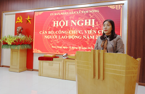 Đồng chí Nguyễn Thị Mai Toan - Phó Trưởng phòng Kinh tế phát biểu tham luận