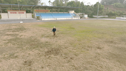 Chủ động phun phòng các loại thuốc đặc hiệu trừ sâu hại cỏ Becmunda