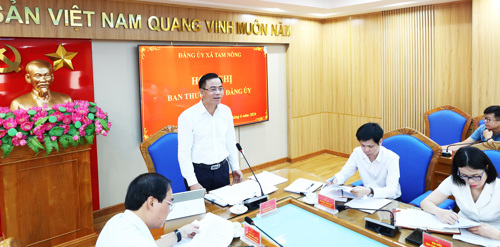 Đồng chí Quách Hải Lý - Bí thư Đảng ủy, Chủ tịch HĐND xã Tam Nông phát biểu kết luận hội nghị
