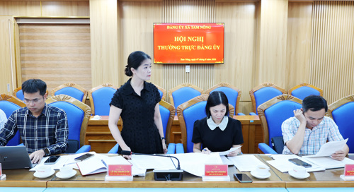 Đồng chí Lê Thị Thanh Tâm - ĐUV, Trưởng phòng VHXH phát biểu tại hội nghị