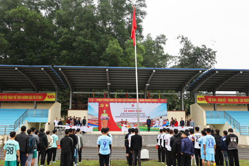 Các đại biểu thực hiện nghi thức Chào cờ