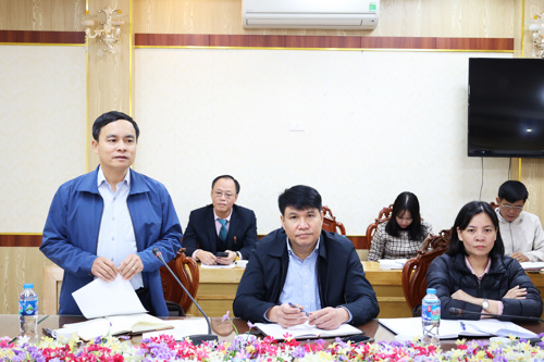 Đồng chí Nguyễn Ngọc Minh - UVBTV, Phó Chủ tịch UBND xã phát biểu chỉ đạo