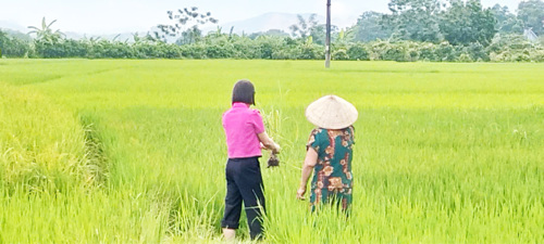 Cán bộ chuyên môn của Trung tâm Dịch vụ sự nghiệp công Tam Nông kiểm tra tại thực địa xứ đồng Vũng thôn 8.