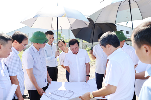 Đồng chí Bùi Văn Quang - Phó Bí thư Thường trực Tỉnh ủy làm việc tại thực địa