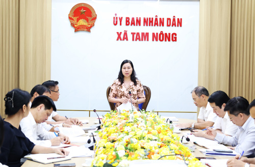 Đồng chí Bùi Thị Thu Hằng - Ủy viên BTV Tỉnh ủy, Chủ nhiệm Ủy ban Kiểm tra Tỉnh ủy, Trưởng đoàn phát biểu kết luận
