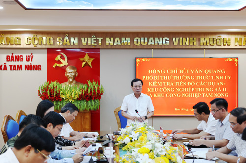 Đồng chí Bùi Văn Quang - Phó Bí thư Thường trực Tỉnh ủy phát biểu chỉ đạo