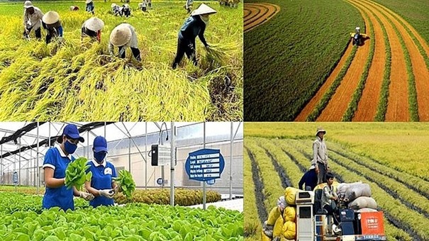 Các Chính sách mới có hiệu lực từ tháng 1/2026