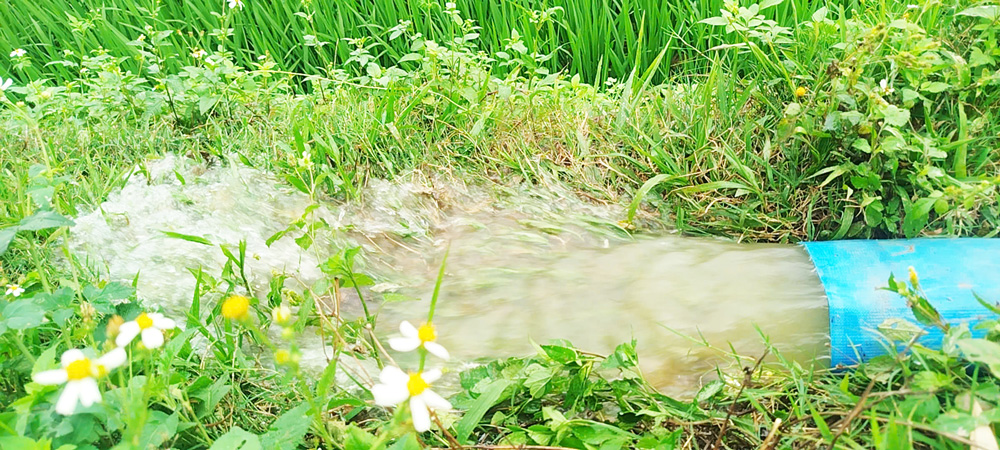 Trung tâm Dịch vụ sự nghiệp công xã Tam Nông: Nỗ lực đưa nước về đồng ruộng phục vụ sản xuất vụ Chiêm Xuân 2026