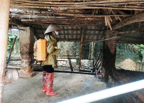 Triển khai phun hóa chất tiêu độc khử trùng chuồng trại chăn nuôi tại Khu 7 (Dân Quyền) xã Tam Nông