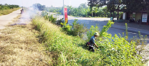 Cắt cỏ dọc tuyến Đê Tam Thanh