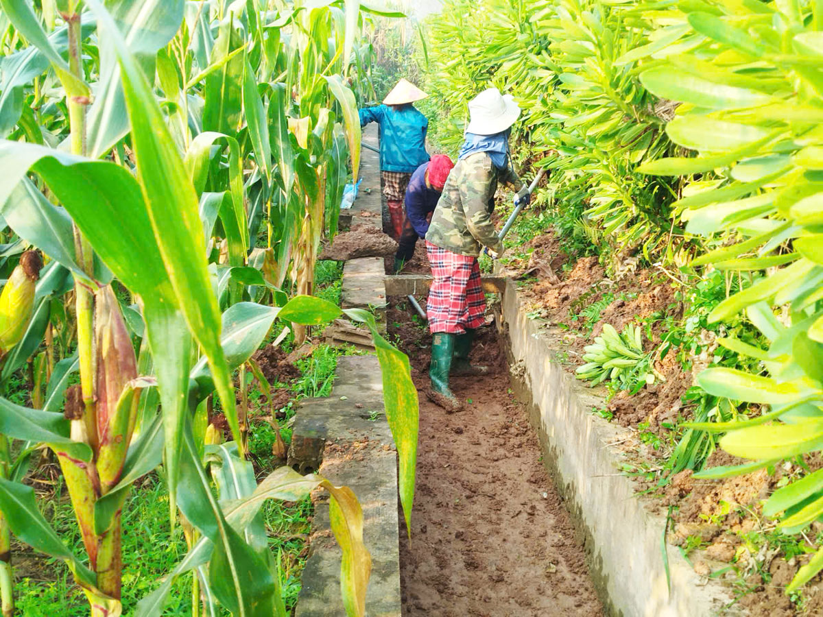 Xã Tam Nông: Đẩy nhanh tiến độ duy tu, nạo vét kênh mương phục vụ sản xuất vụ Chiêm Xuân 2026