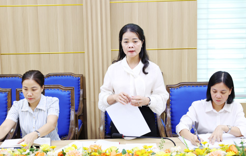 Đồng chí Lê Thị Thanh Tâm - ĐUV, Trưởng phòng Văn hóa - xã hội xã Tam Nông phát biểu tại buổi làm việc
