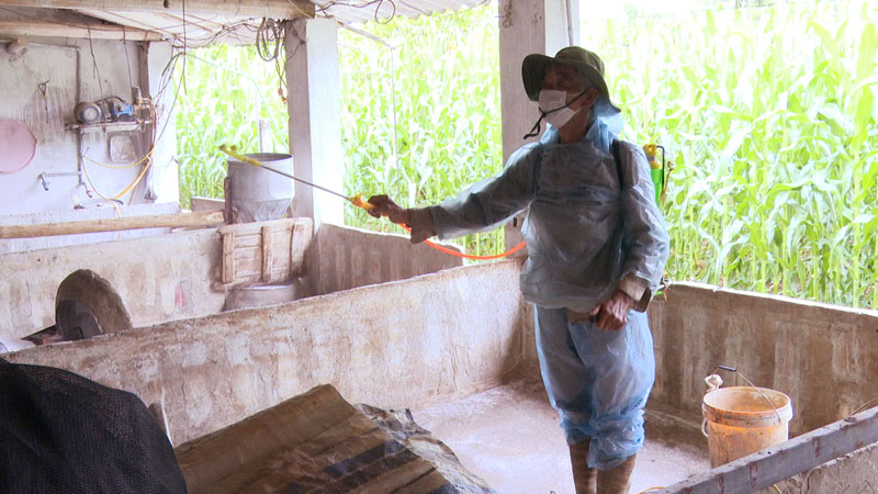 Xã Tam Nông tăng cường phun thuốc khử trùng, tiêu độc phòng, chống dịch tả Lợn Châu Phi.