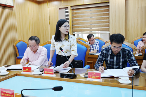 Lãnh đạo Thống kê cơ sở Thanh Thủy phát biểu tại hội nghị