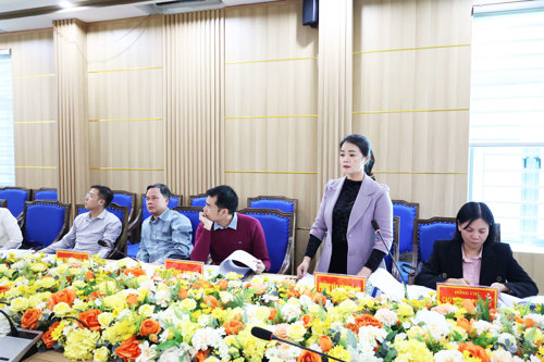 Đồng chí Lê Thị Than Tâm - ĐUV, Trưởng phòng VH-XH phát biểu tại hội nghị